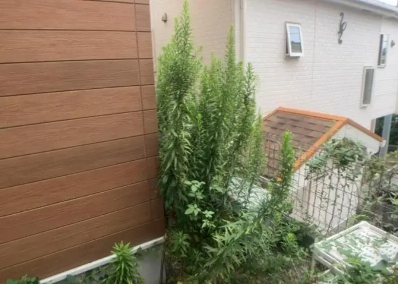 عقار 4LDK مدينة Zama محافظة Kanagawa (22)