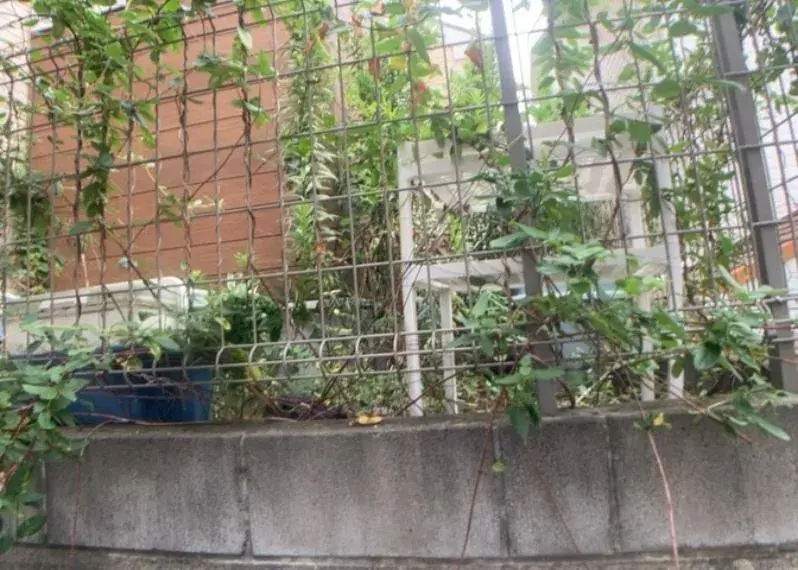 عقار 4LDK مدينة Zama محافظة Kanagawa (34)