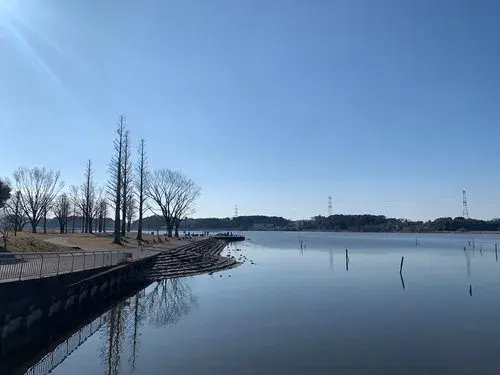 4LDK房产 我孙子市 千叶县 (10)