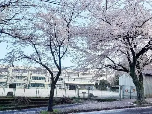 5LDK 松戸市 千葉県 (7)