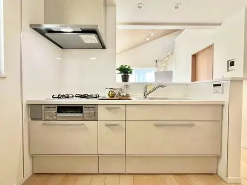 4LDK property Itabashi-ku Tokyo (15)