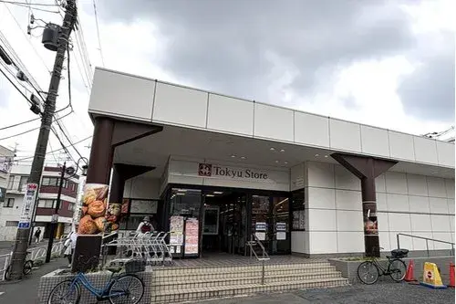 3LDK 品川区 東京都 (19)