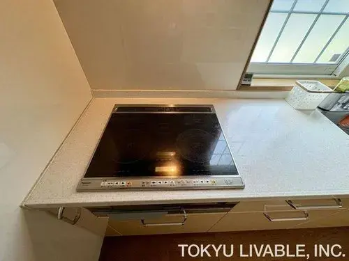 2-Bedroom Property Hiratsuka City Kanagawa Prefecture (15)