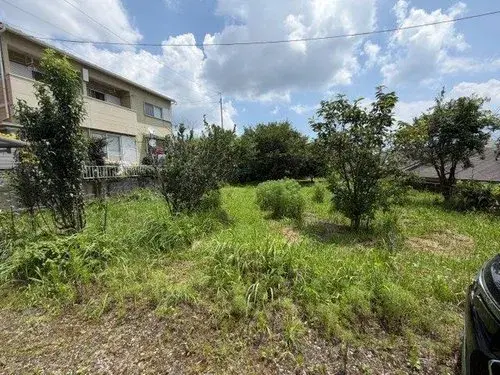 4DK Ciudad de Kagoshima Prefectura de Kagoshima (3)