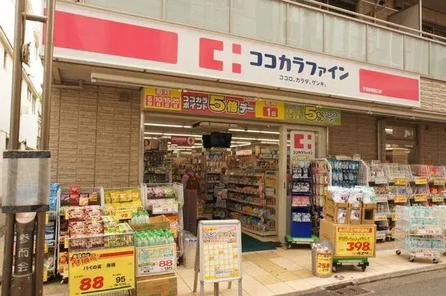8K Property Setagaya-ku Tokyo (4)