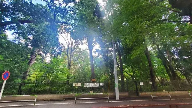 8K Property Setagaya-ku Tokyo (9)