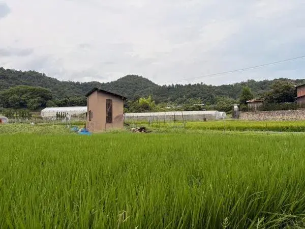 3LDK Property Kyoto City Kyoto Prefecture (5)