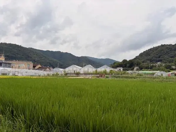 3LDK Property Kyoto City Kyoto Prefecture (6)