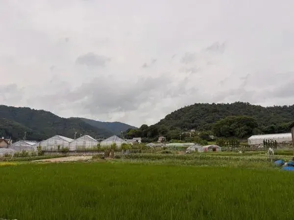 3LDK Property Kyoto City Kyoto Prefecture (7)
