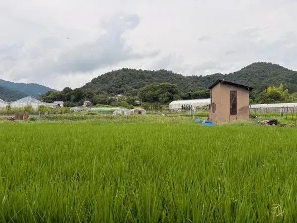 3LDK Property Kyoto City Kyoto Prefecture (8)