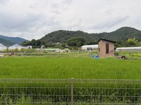 3LDK Property Kyoto City Kyoto Prefecture (9)