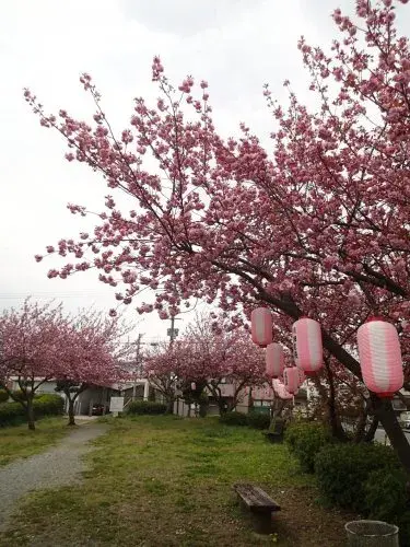 4LDK Ciudad de Kawanishi Prefectura de Hyogo (26)