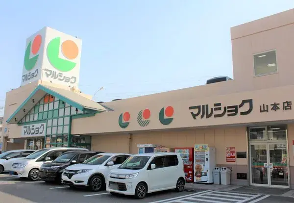 4SDK Property Hiroshima City Hiroshima Prefecture (7)