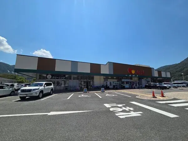 Hiroshima Prefecture Hiroshima City 4LDK Property (11)