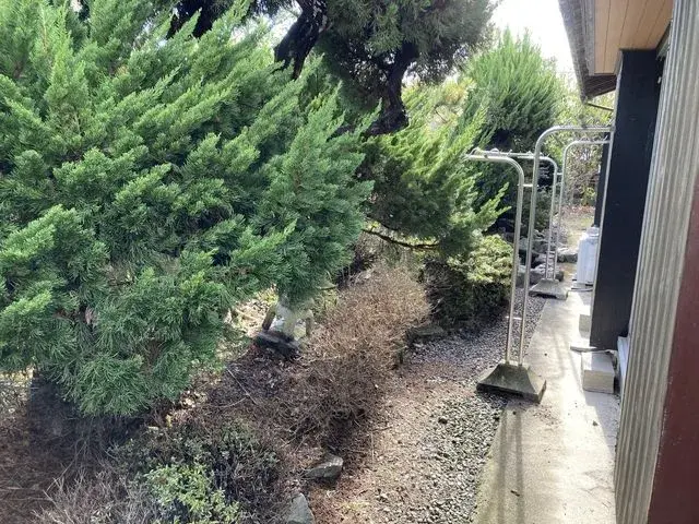 Propiedad 5DK Ciudad de Saijo Prefectura de Ehime (29)