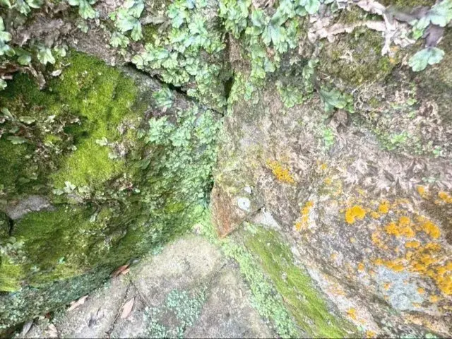 Slide 27