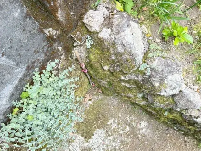 Slide 28