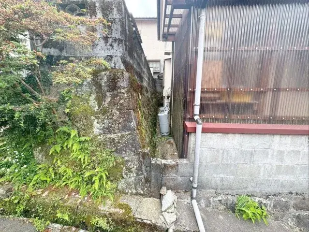 Slide 8
