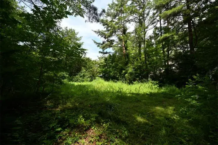 Propiedad 2LDK en Karuizawa-machi, Prefectura de Nagano (25)