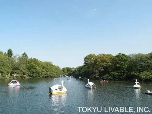 4DK Property Mitaka City Tokyo (17)