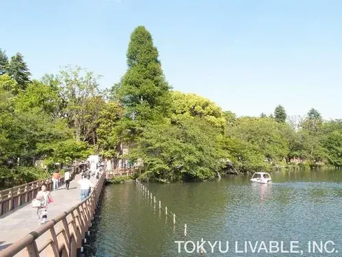 4DK Property Mitaka City Tokyo (18)