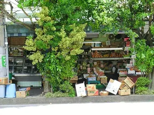 4DK Property Shibuya Ward Tokyo (23)