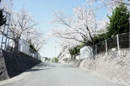 2LDK 春日市 福岡県 (10)