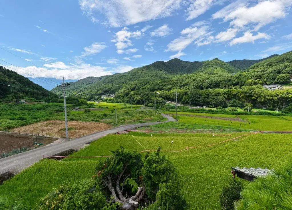 9LDK Hokuto City Yamanashi Prefecture (17)