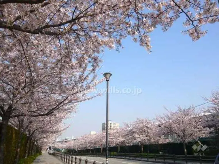 2LDK Property Takarazuka City Hyogo Prefecture (14)