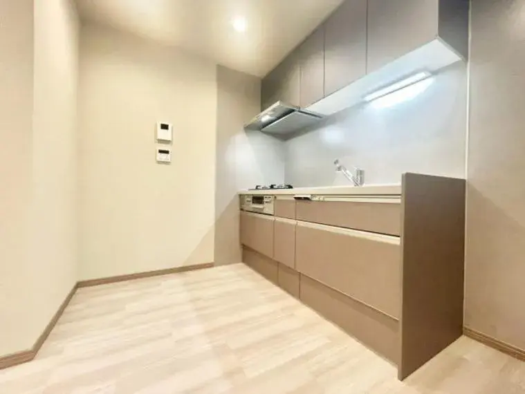 5LDK Район Shinagawa Tokyo (14)