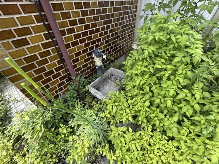 6DK Property Kiryu City Gunma Prefecture (34)