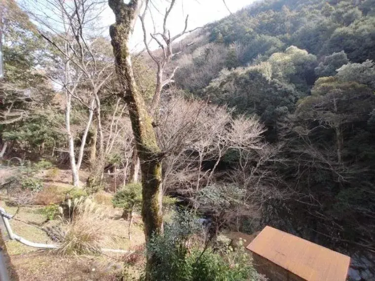 Недвижимость 2SLDK Izu City Shizuoka Prefecture (26)