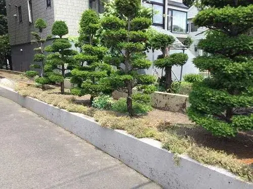 6LLDDKK Sapporo City Hokkaido Property (22)