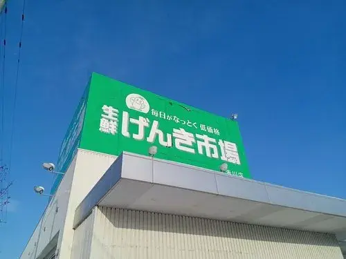 4LDK Property Hakodate City Hokkaido (23)
