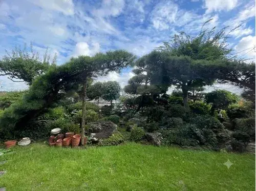 Miyagi Prefecture Tomiya City 5LDK Property (9)