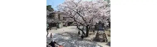 3LDK房产 越谷市 埼玉县 (19)