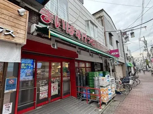 3LDK+S Property Koto-ku Tokyo (15)