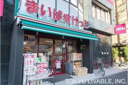 7DK Property Adachi Ward Tokyo (11)