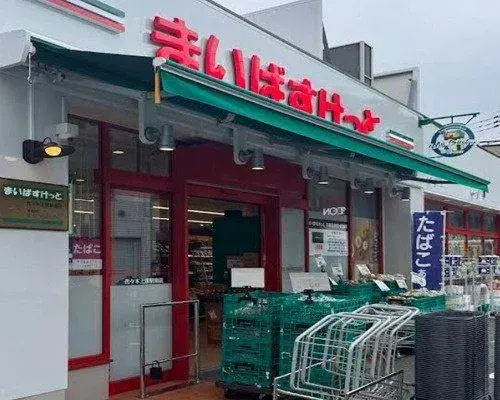 3LDK+S Shibuya-ku Tokyo (7)
