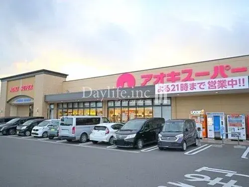 5LDK+S Property Ama City Aichi Prefecture (11)