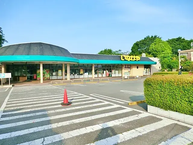 4LDK 相模原市 神奈川県 (14)