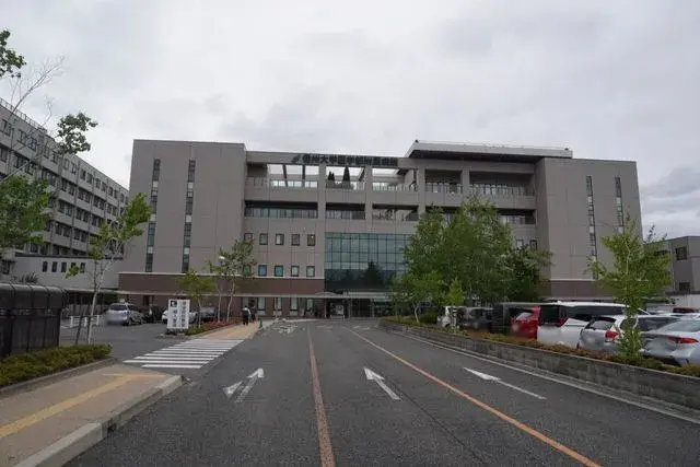 6SDK Ciudad de Matsumoto, Prefectura de Nagano (8)