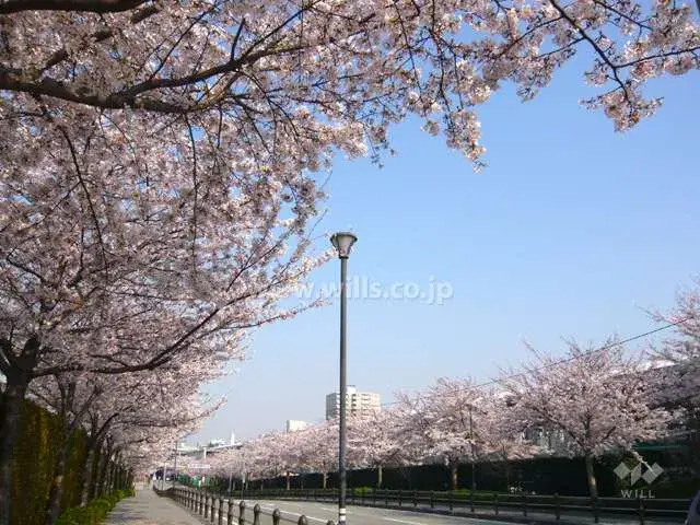 2LDK Property Takarazuka City Hyogo Prefecture (14)