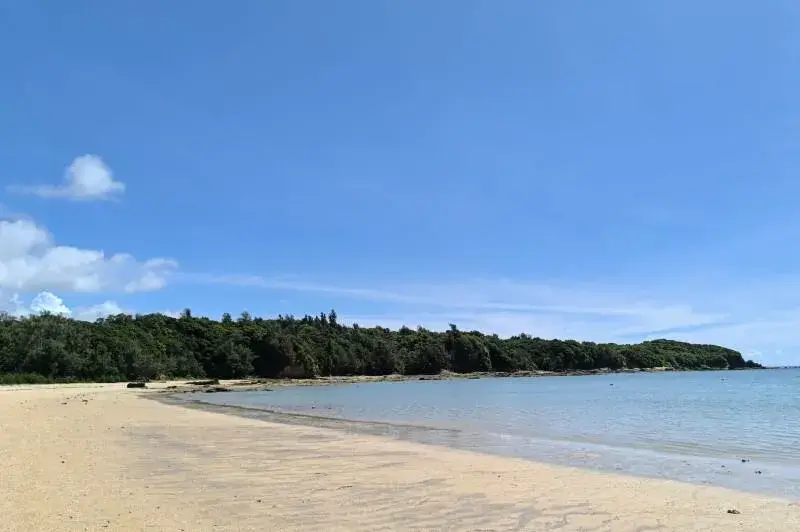 1LDK Bien immobilier Ville de Nago Préfecture d'Okinawa (10)