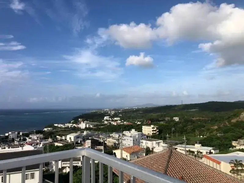 3LDK Property Yomitan Village Nakagami-gun Okinawa Prefecture (9)