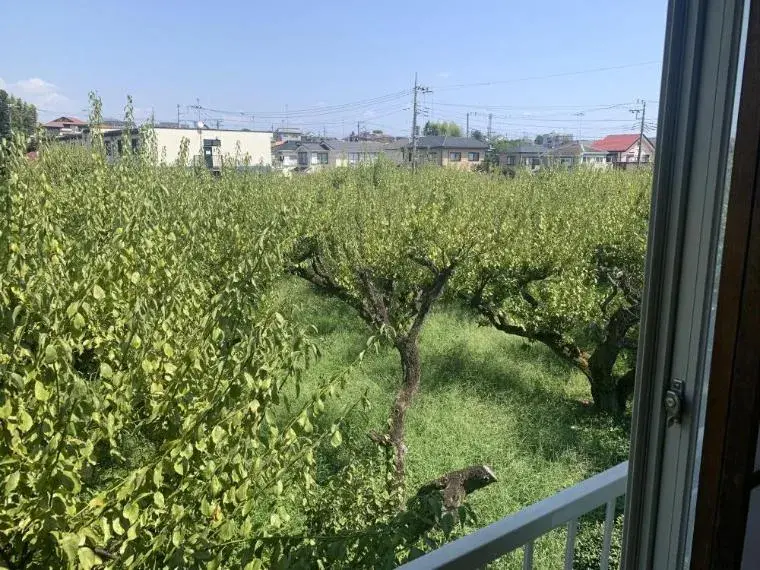3LDK Ciudad de Sagamihara Prefectura de Kanagawa (23)