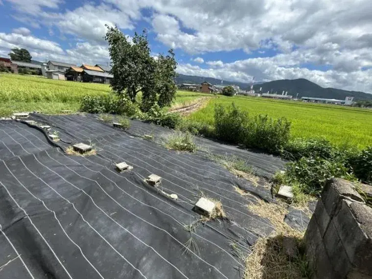 4LDK房产 长滨市 滋贺县 (4)
