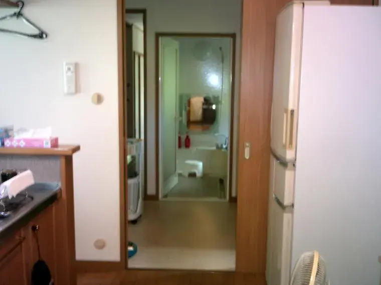 5LDK+ Property Shintomi-cho Koyu-gun Miyazaki Prefecture (12)