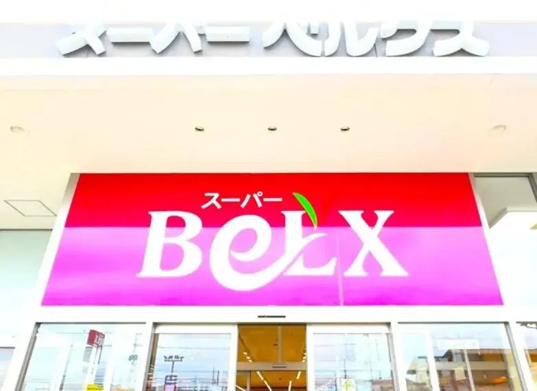 [3LDK Property] Matsudo City Chiba Prefecture (33)