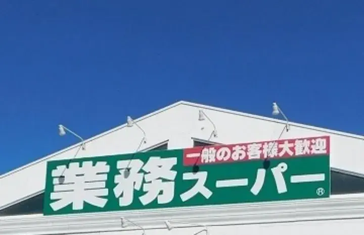 3LDK Property Nishio City Aichi (4)